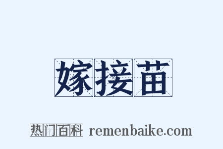 嫁接苗是什么意思的图片
